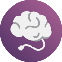 DigiBrain