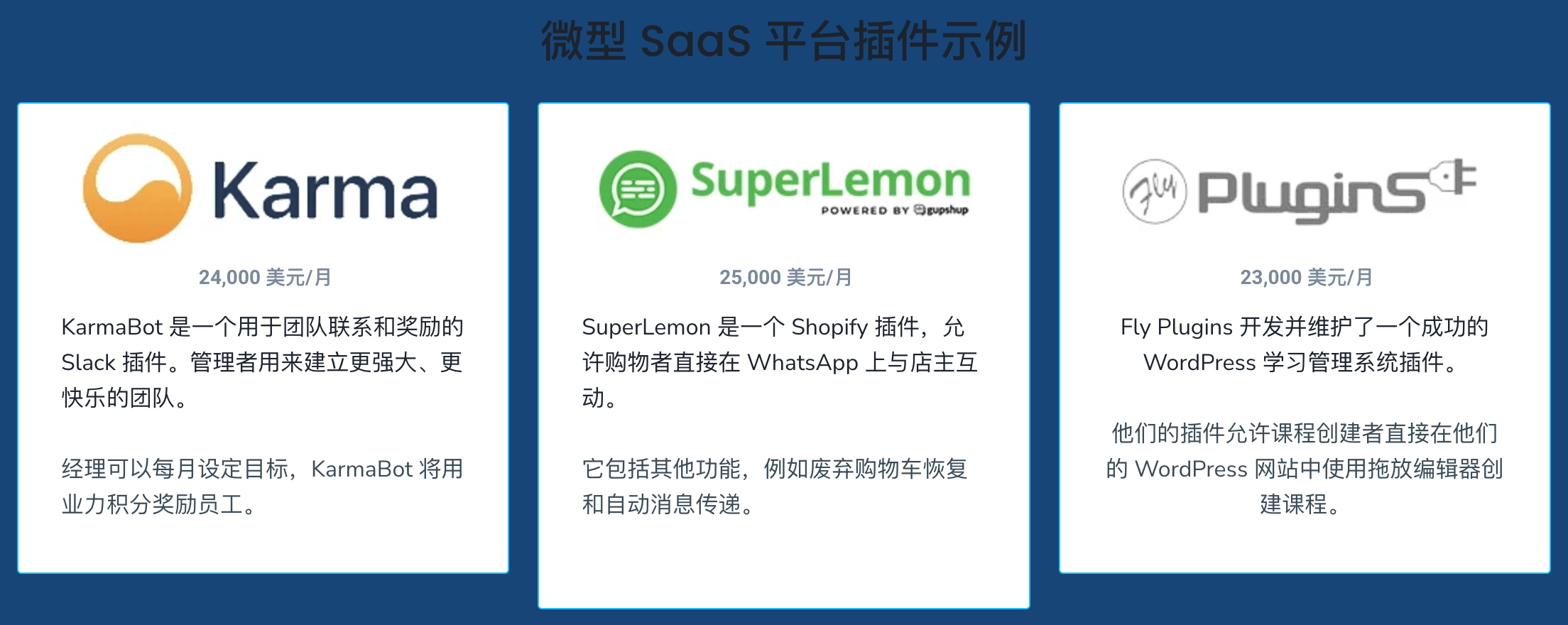 Micro SaaS 手册｜第1章 什么是 Micro SaaS？