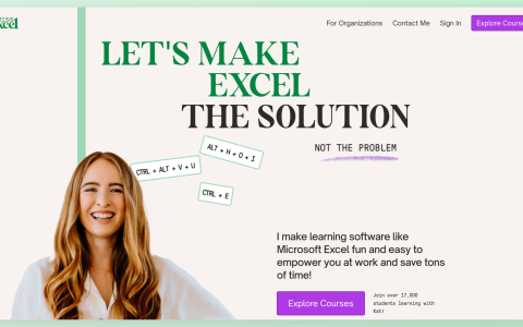 这个卖Excel课程的网站，月访问量14.5万，年销售额超过200万美金