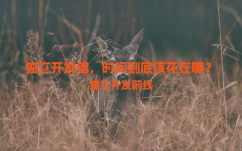独立开发者，时间到底该花在哪？
